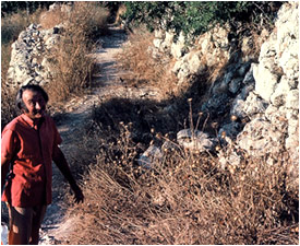 einyael_gershon_terrace